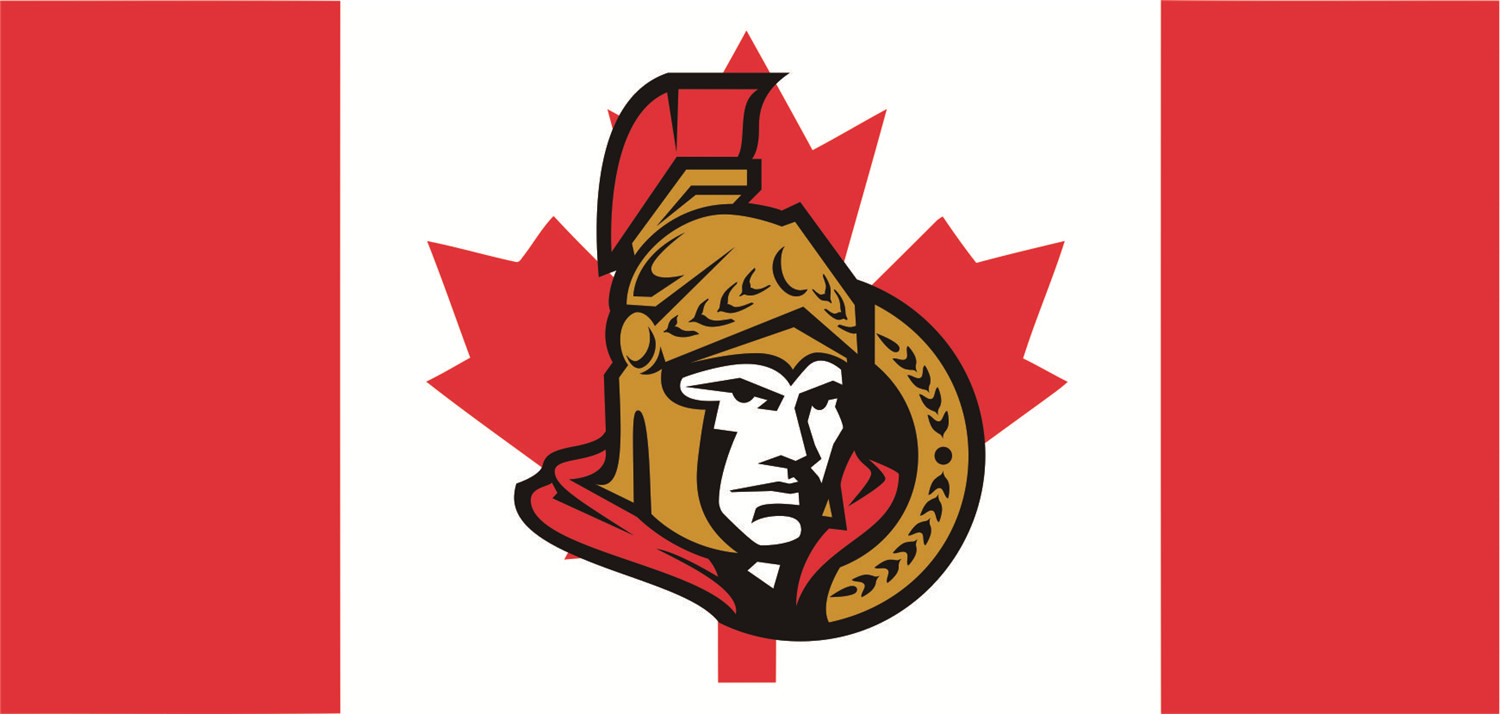 Ottawa Senators Flags DIY iron on transfer (heat transfer)